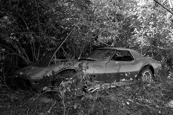 Corvette Vette Chevy Chevrolet GM