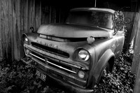 IMG_0509.BW