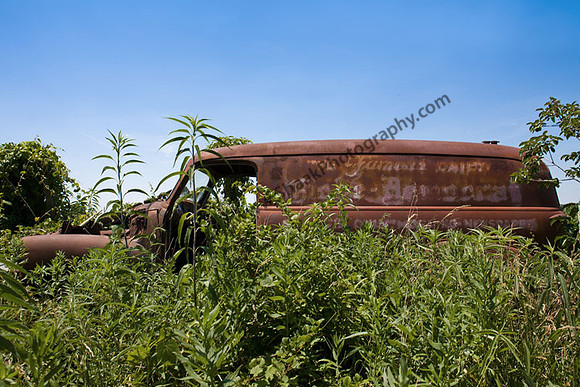 IMG_8351.4 copy