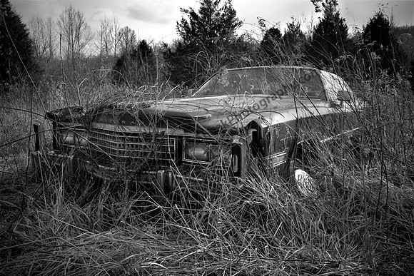 Cadillac Eldorado