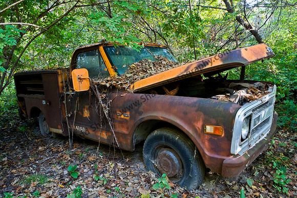 Chevrolet Chevy