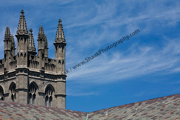 IMG_5747 copy