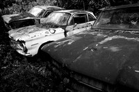 Chevrolet  Chevy Corvair