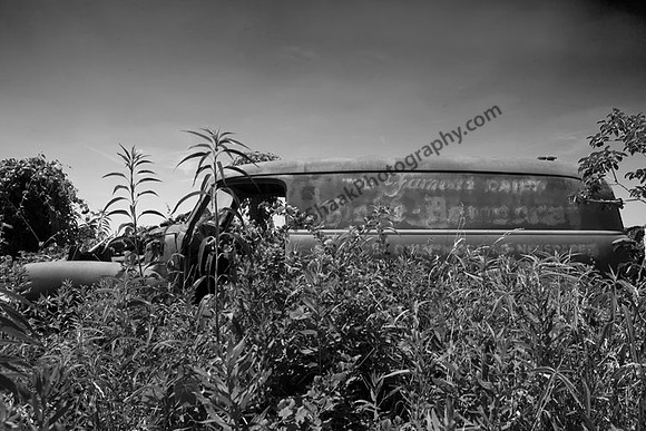 IMG_8351.4.BW copy