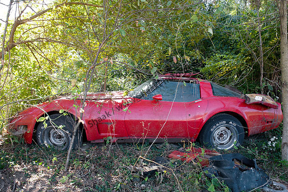 IMG_1633.3 copyCorvette Vette Chevy Chevrolet GM