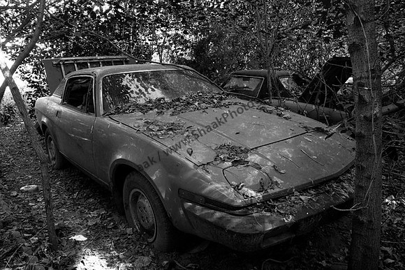 Triumph TR7