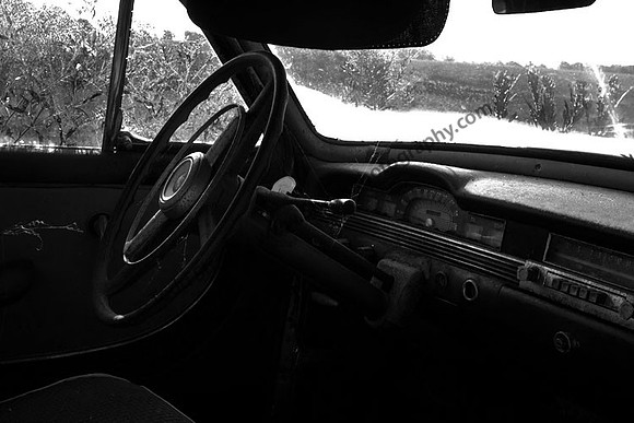 IMG_1106.2 copy