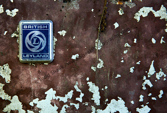 MG British Leyland