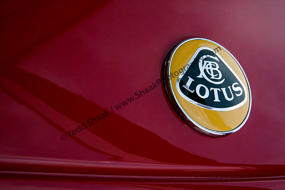 Lotus