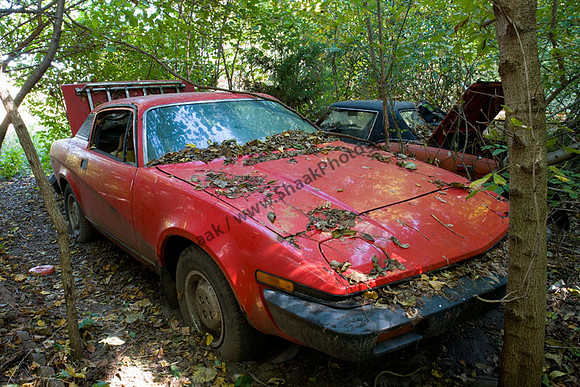 Triumph TR7