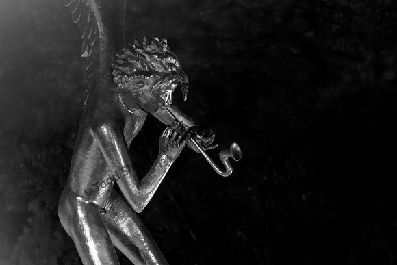 IMG_0491.4.BW copy