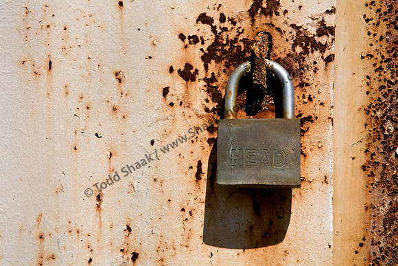 IMG_9727.4 copy