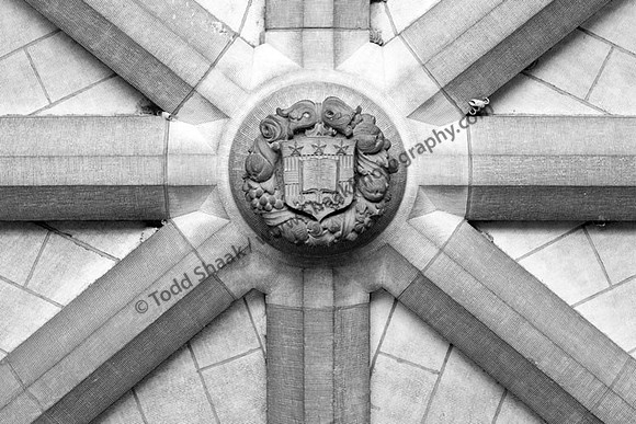 IMG_7708.3.BW copy