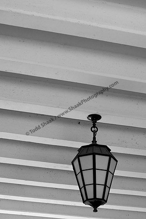 IMG_7726.3 copy