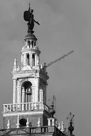 IMG_1399.6.2013.BW copy