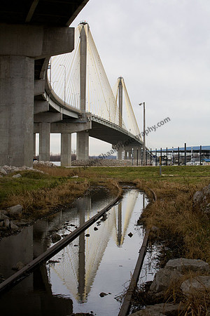 IMG_2865.3 copy