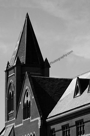 IMG_1239.3.BW copy
