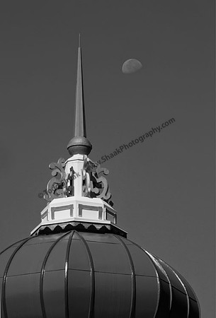 IMG_7841.3.BW copy