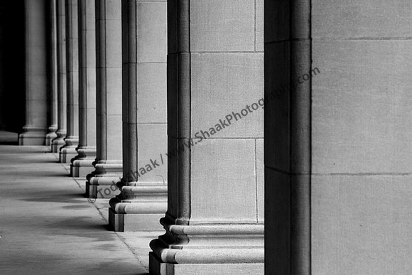IMG_7840.3 copy