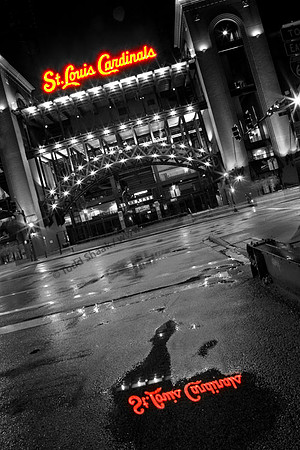 IMG_1915.3.Selective copy