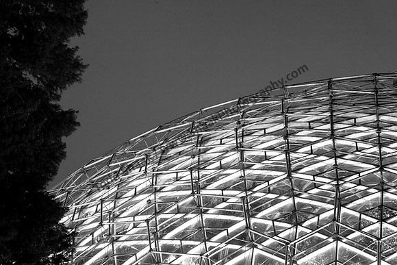 IMG_0505.4.BW copy