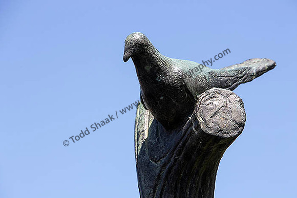 IMG_2577.6.2013 copy