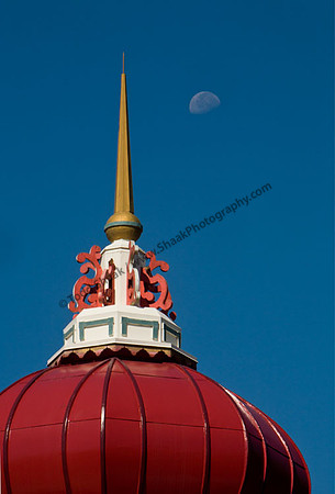 IMG_7841.3 copy