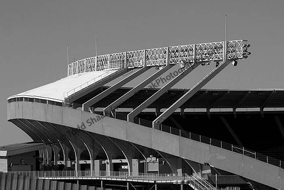 IMG_2284.6.2013.BW copy