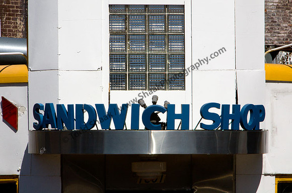 IMG_1155.3 copy