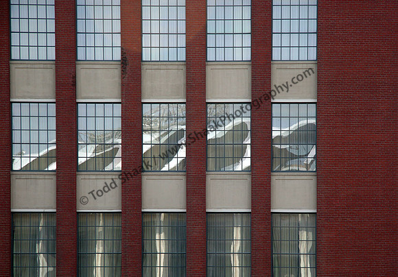 IMG_5828.5 copy