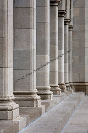 IMG_7835.3 copy