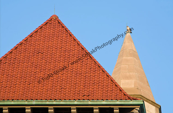 IMG_5824.4 copy