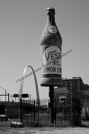 IMG_9455.5 copy