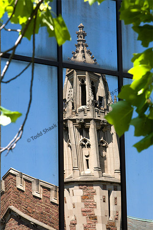 IMG_7666.3 copy