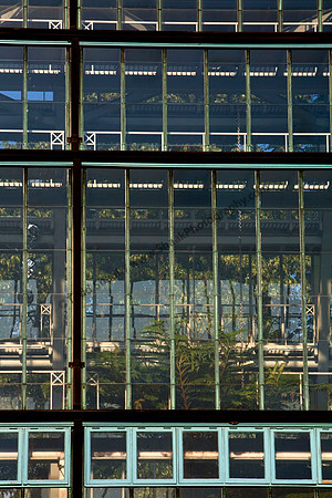 IMG_5538.1 copy