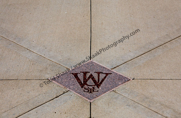 IMG_7692.3 copy