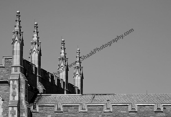 IMG_7019.BW copy