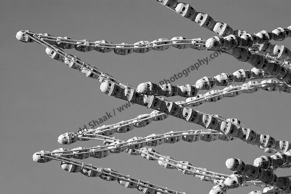 IMG_0341.4.BW copy