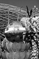 IMG_0192.4.BW copy