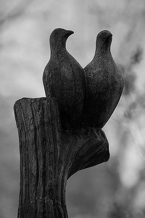 IMG_2579.6.2013.BW copy