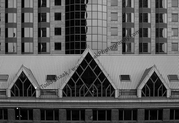 IMG_9260.4.BW copy