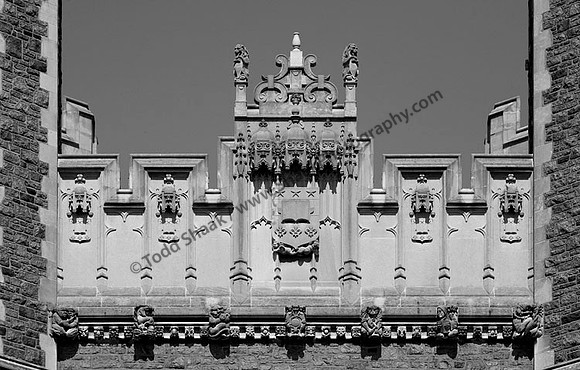 IMG_7017.BW copy