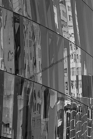 IMG_2239.6.2013.BW copy