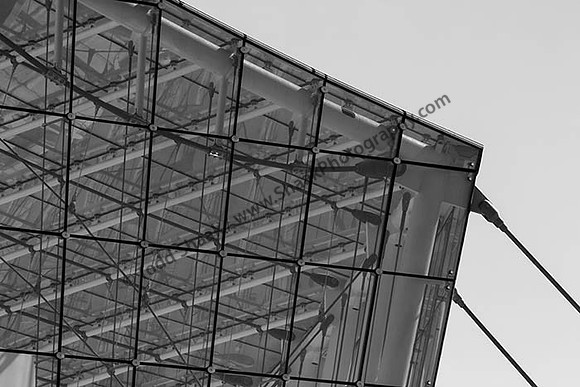 IMG_2209.6.2013.BW copy