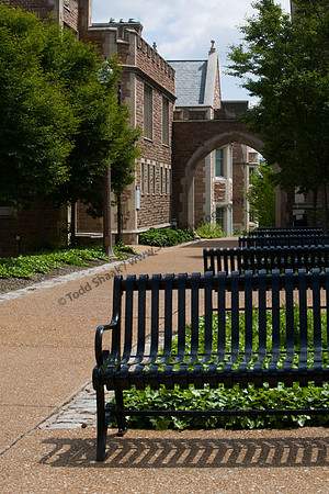 IMG_7757.3 copy