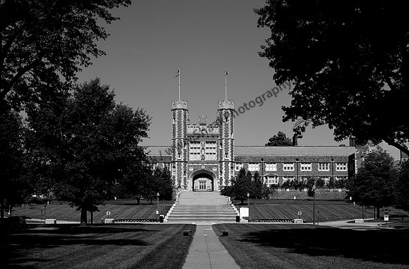 IMG_7007.BW copy