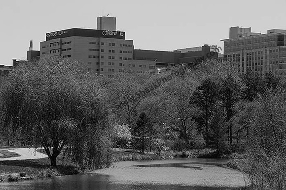IMG_2743.6.2013.BW copy