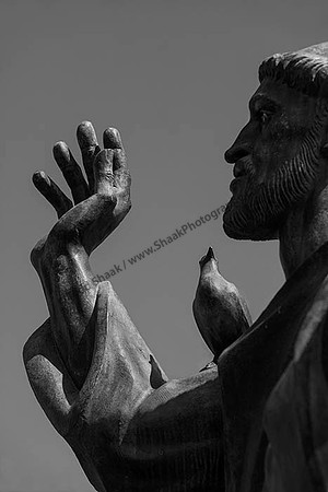IMG_2586.6.2013.BW copy