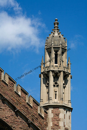 IMG_7667.3 copy