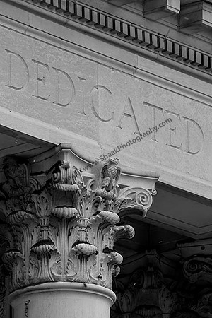 IMG_2449.6.2013 copy